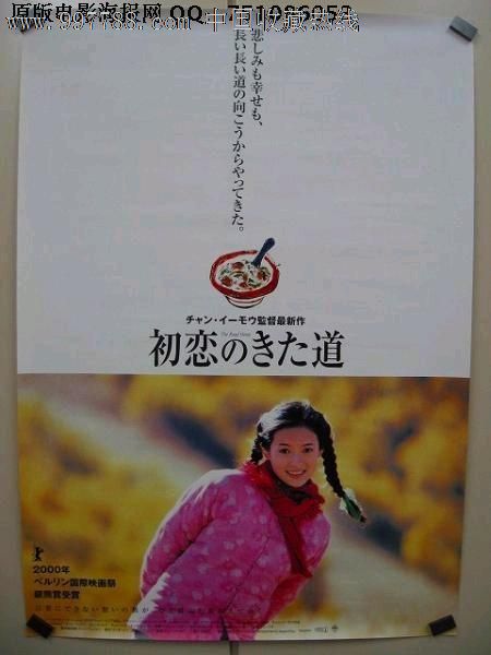 仿制假利比亚